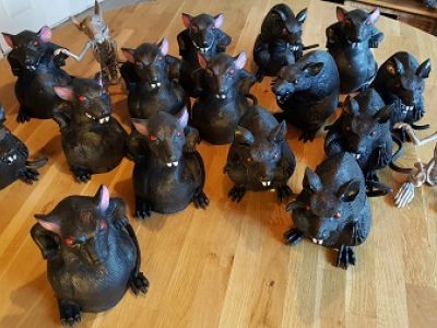 Ratten ter decoratie